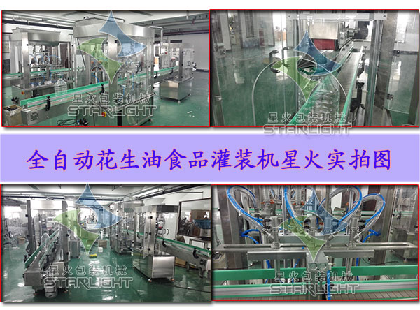 花生油食品灌裝機(jī)